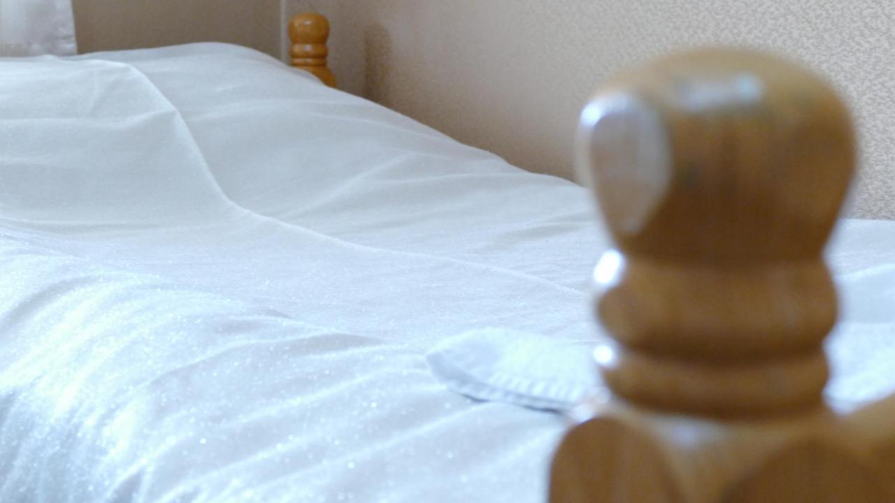 B&B Vila Bela Ruza Sremska Mitrovica Eksteriør billede